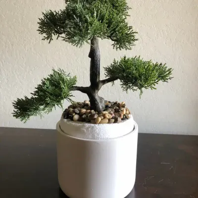 Artificial Bonsai Tree in White Planter