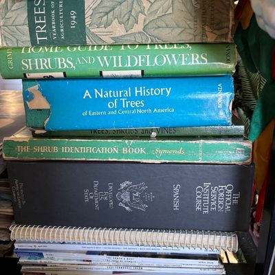 Sale Photo Thumbnail #4: Stack of vintage reference books and magazines, featuring titles on botany, trees, and language learning, including the 1949 USDA Yearbook of Agriculture.