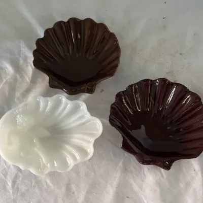 Shell Dishes