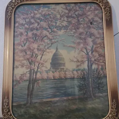 Capitol in Blossom Time