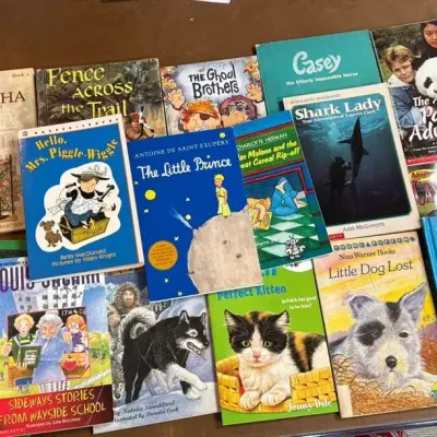 Early Reading Chapter Books