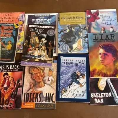Chapter Books