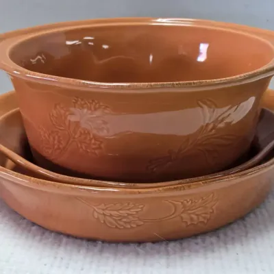 Rachael Ray Stoneware Baking Dishes