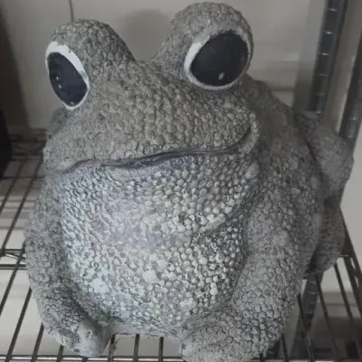 Large Cement Frog Statue