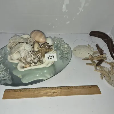 Sale Photo Thumbnail #747: Collection of coastal decor items, including a shell-filled ceramic dish on an oval mirror surrounded by glass flower votive holders, dried starfish, sand dollars, and driftwood.