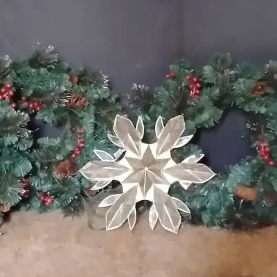 5-Piece Pre-Lit Christmas Wreath & Lighted Snowflake Lot