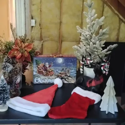 Christmas Holiday Décor Lot