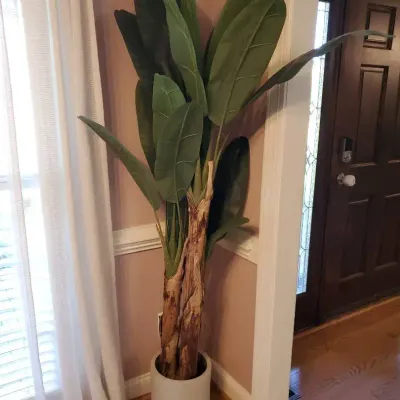 Large Artificial Banana Leaf Tree in White Planter
