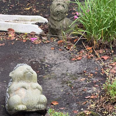 Sale Photo Thumbnail #143