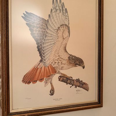 Sale Photo Thumbnail #99: “Redtail Hawk”by Ralph Connor