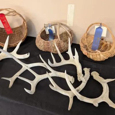 Handmade Del Mar Fair Award Winning Baskets Lot with Natural Shed Antlers