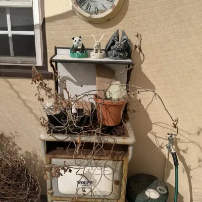Antique Wolff 500 Enamel Cast Iron Stove with Shelf Statues Clock Wicker Stool
