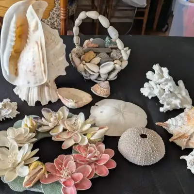 Natural Seashell Lot with Shell Flower Wreath, Abalone, Coral, Sand Dollar