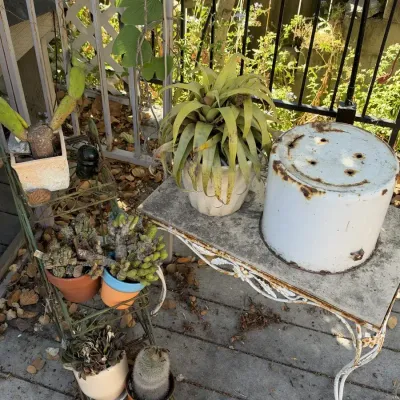 Rustic Wrought Iron Plant Stand, Stone Top Side Table, Enamelware Pot, Planters