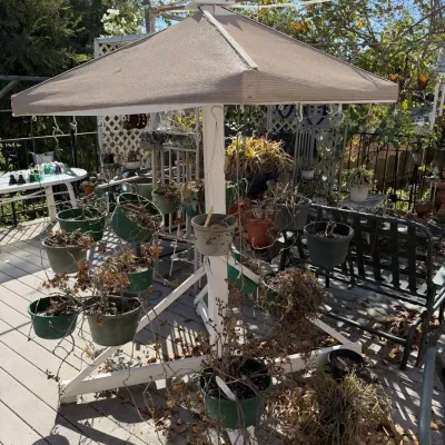 Sturdy White Wood Hanging Plant Stand Pergola with Shade Cloth Canopy and Hooks