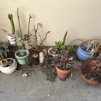 Rustic Succulent Planter Lot with Terracotta Pots and Hemingray Glass Insulators