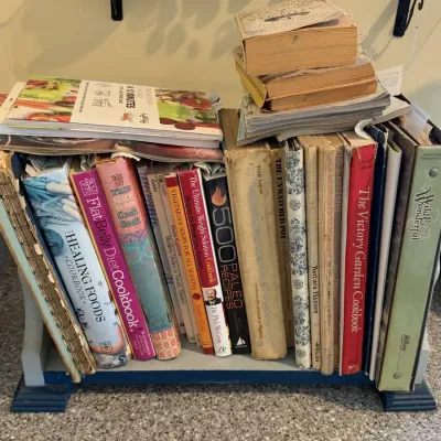 Hand Painted Blue Bird Tole Wood Cookbook Rack with Assorted Cookbooks Lot