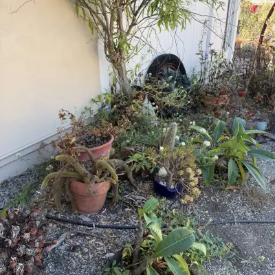 Assortment of Garden Planters, Cobalt Blue Glazed Pot, Terracotta Pots