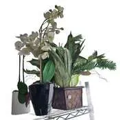 Sale Photo Thumbnail #987