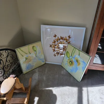 Sale Photo Thumbnail #97: Collection of framed artwork featuring a white shadow box displaying a taxidermy butterfly mandala alongside a matching pair of square floral canvases depicting blue poppies.