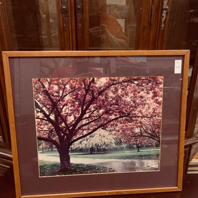 Sale Photo Thumbnail #78