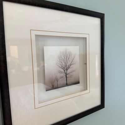 Sale Photo Thumbnail #108: Framed photographic art print featuring bare trees in a misty landscape, presented with layered shadowbox matting and a dark bronze-tone frame.