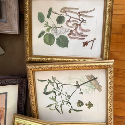 Sale Photo Thumbnail #136