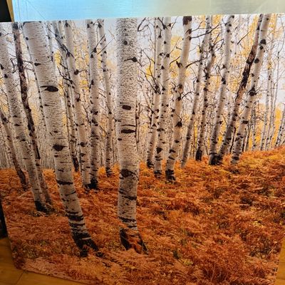 Sale Photo Thumbnail #146