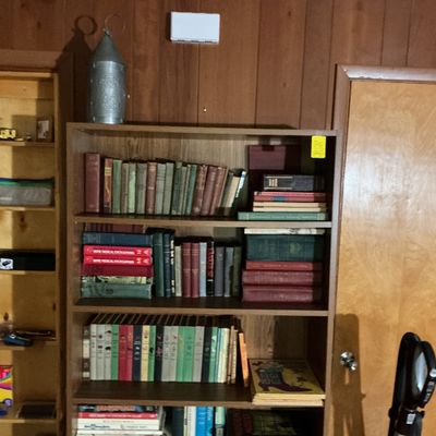 Sale Photo Thumbnail #75: More books
