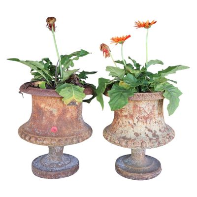 Sale Photo Thumbnail #262: Antique pair cast iron petite garden planters 13"h x 10"dia
