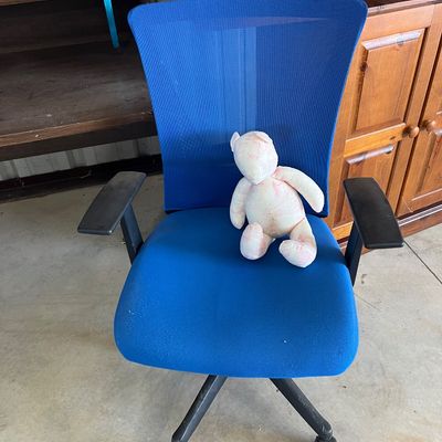 Sale Photo Thumbnail #45: Blue mesh modern office desk chair with armrests and a small plush teddy bear resting on the seat.
