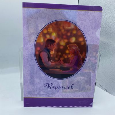 Sale Photo Thumbnail #204: Rapunzel Plastic File Folder