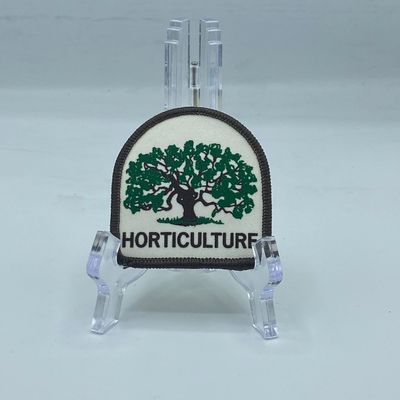 Sale Photo Thumbnail #150: Disney Horticulture Patch