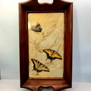 Vintage wooden serving tray featuring preserved butterfly taxidermy and dried botanical elements set under glass.