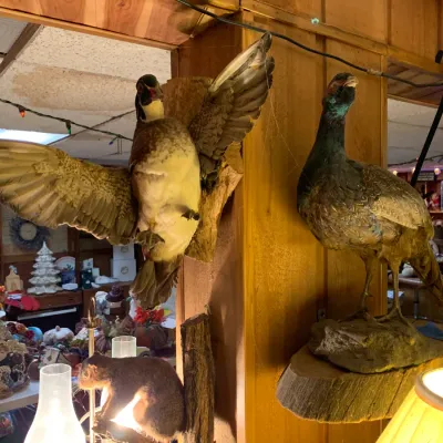 Sale Photo Thumbnail #398