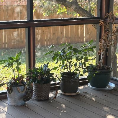 Sale Photo Thumbnail #37