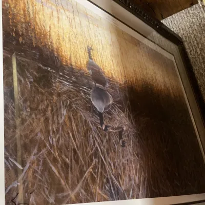 Sale Photo Thumbnail #334