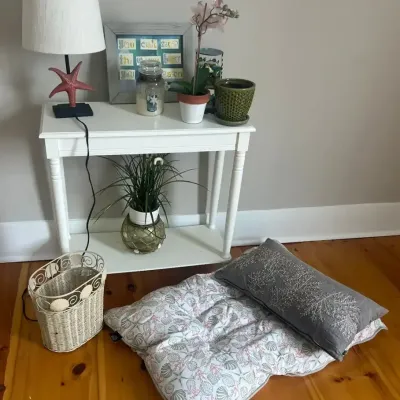 Coastal Decorative Console Table Ensemble ($7.81)