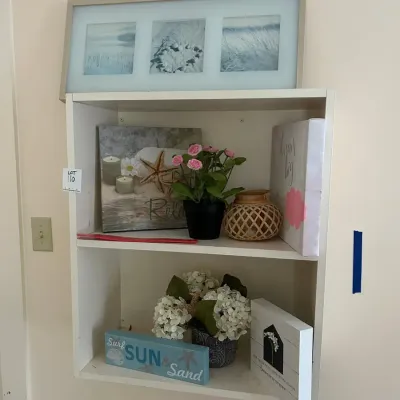 Coastal-Themed Wall Shelf with Decorative Accents ($7.81)
