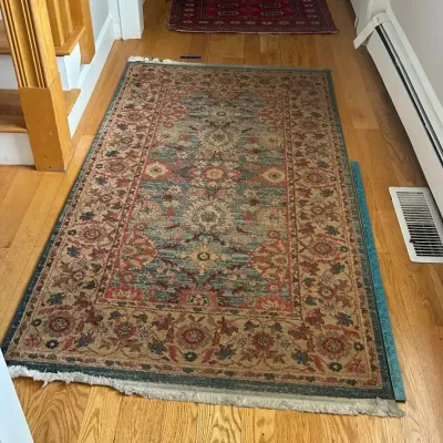Traditional Area Rug ($7.81)