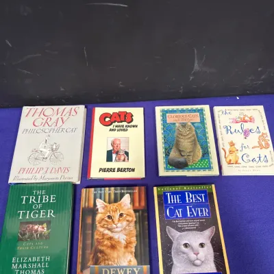 Sale Photo Thumbnail #167