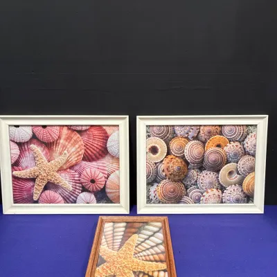 Sale Photo Thumbnail #78