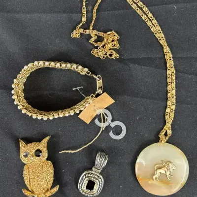 Assorted Vintage Women’s Fashion Gold Colored Jewelry Lot Broach, Necklace, Pendant, Bracelet