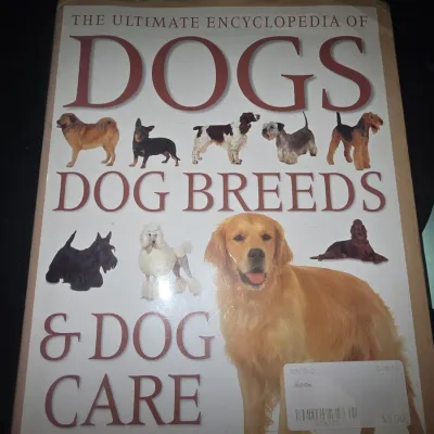 Sale Photo Thumbnail #28: About dogs