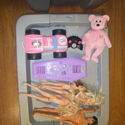 Sale Photo Thumbnail #55: A large collection of assorted toys and accessories contained in a tub. Items include fashion dolls (Barbie style, Monster High style, and Aladdin character), Ty Beanie Babies plush animals (pink Sakura bear and purple princess bear), a pink Barbie RC Mon