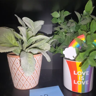 Sale Photo Thumbnail #22: Pair of small faux potted greenery arrangements. Includes one flocking-style green plant in a terracotta-colored pot with geometric diamond pattern, and one artificial plant in a white mug/planter printed with a rainbow and 'Love Is Love' text, featuring 