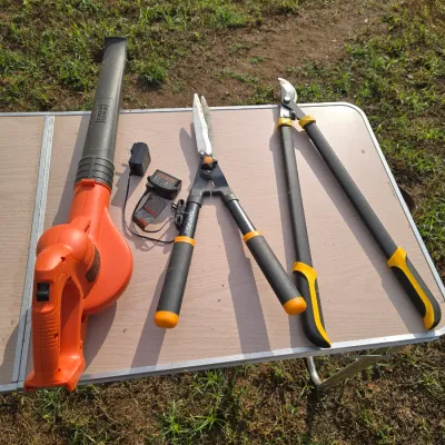 Sale Photo Thumbnail #163: Assortment of lawn and garden care tools. Includes a orange Black & Decker cordless leaf blower with charger, a pair of Fiskars hedge shears, and a pair of long-handled bypass loppers. All items show light to moderate signs of outdoor use. No battery