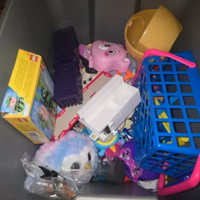 Sale Photo Thumbnail #52: Large collection of assorted children's toys, plushies, and accessories. Includes a LEGO Creator 3in1 set box (31121), Bluey figure and playset piece, Magic Mixies genie lamp, toy shopping basket, plush owl, small plastic cases, and various additional toy