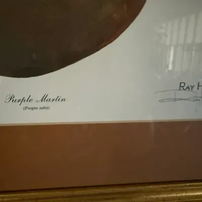 Sale Photo Thumbnail #43: Framed and signed Ray Harm wildlife art print titled 'Purple Martin'.