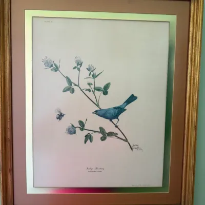 Sale Photo Thumbnail #200: Framed botanical bird print depicting an Indigo Bunting by Ray Harm, presented in a double-matted gilt frame.